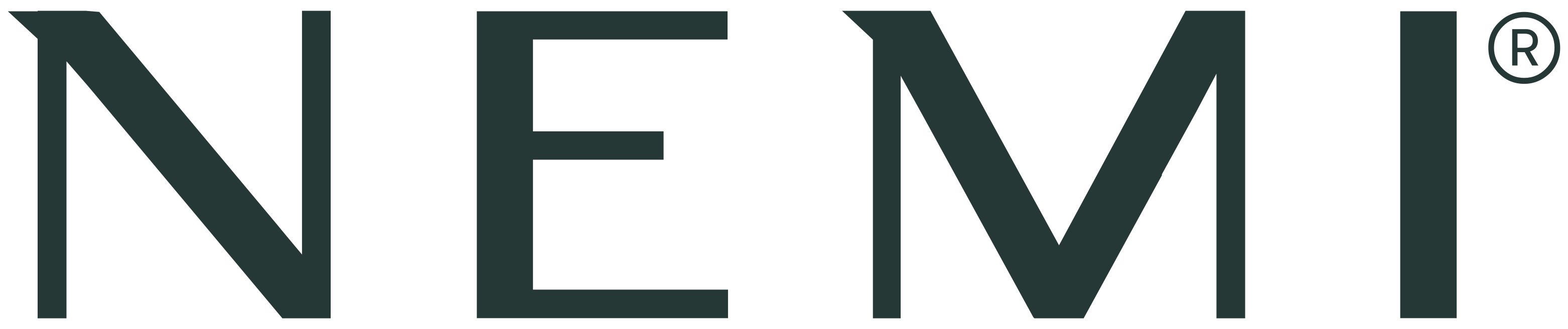Nemi Finance